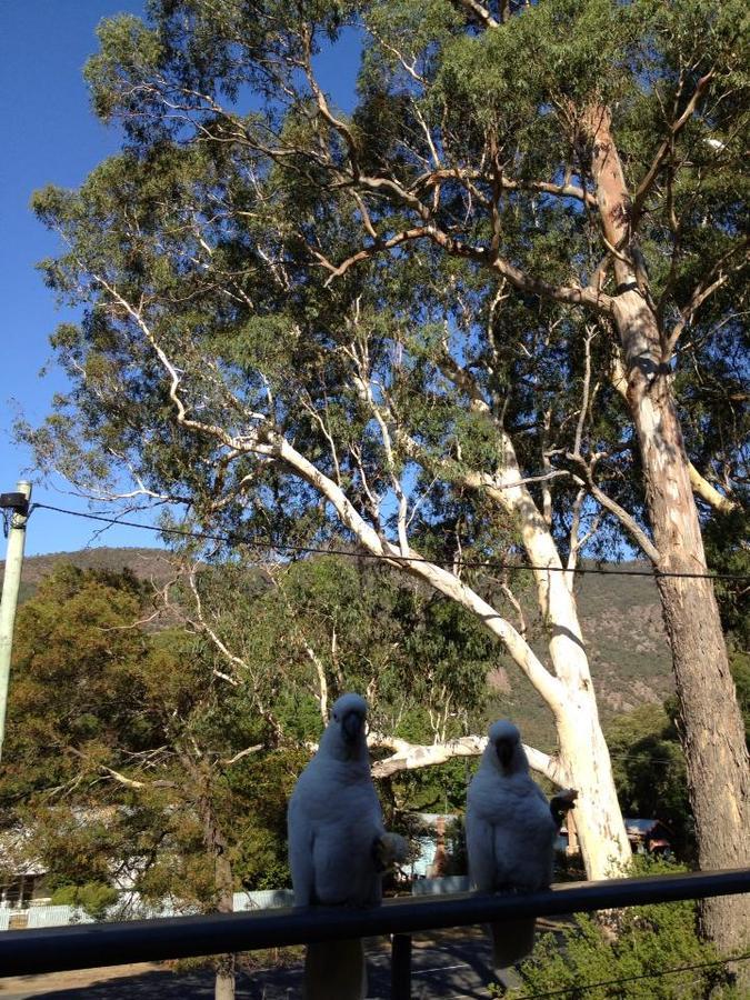 Glengarriff Townhouse 3 Villa Halls Gap Exterior photo
